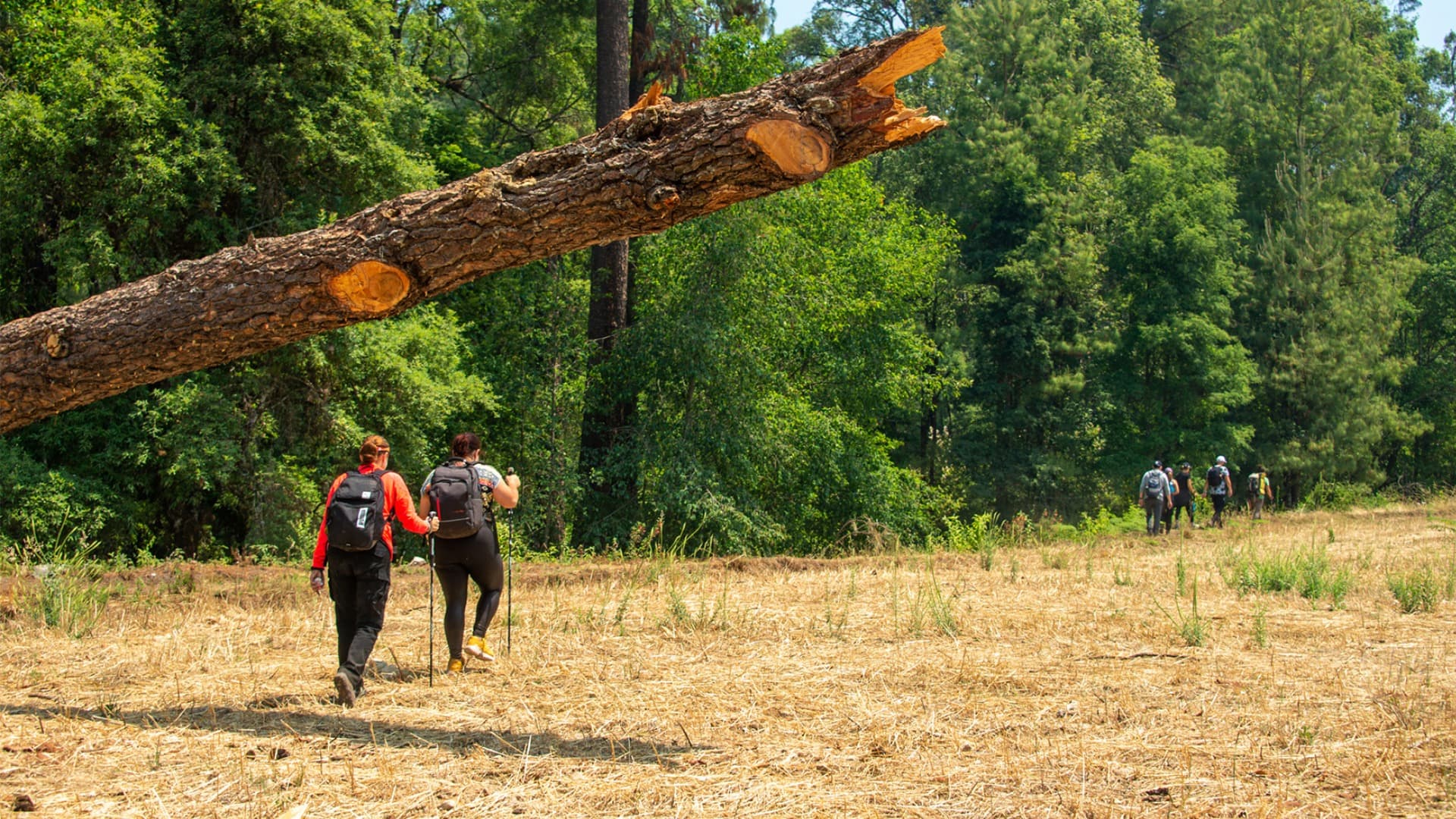 Caminata de Poder - Image 4