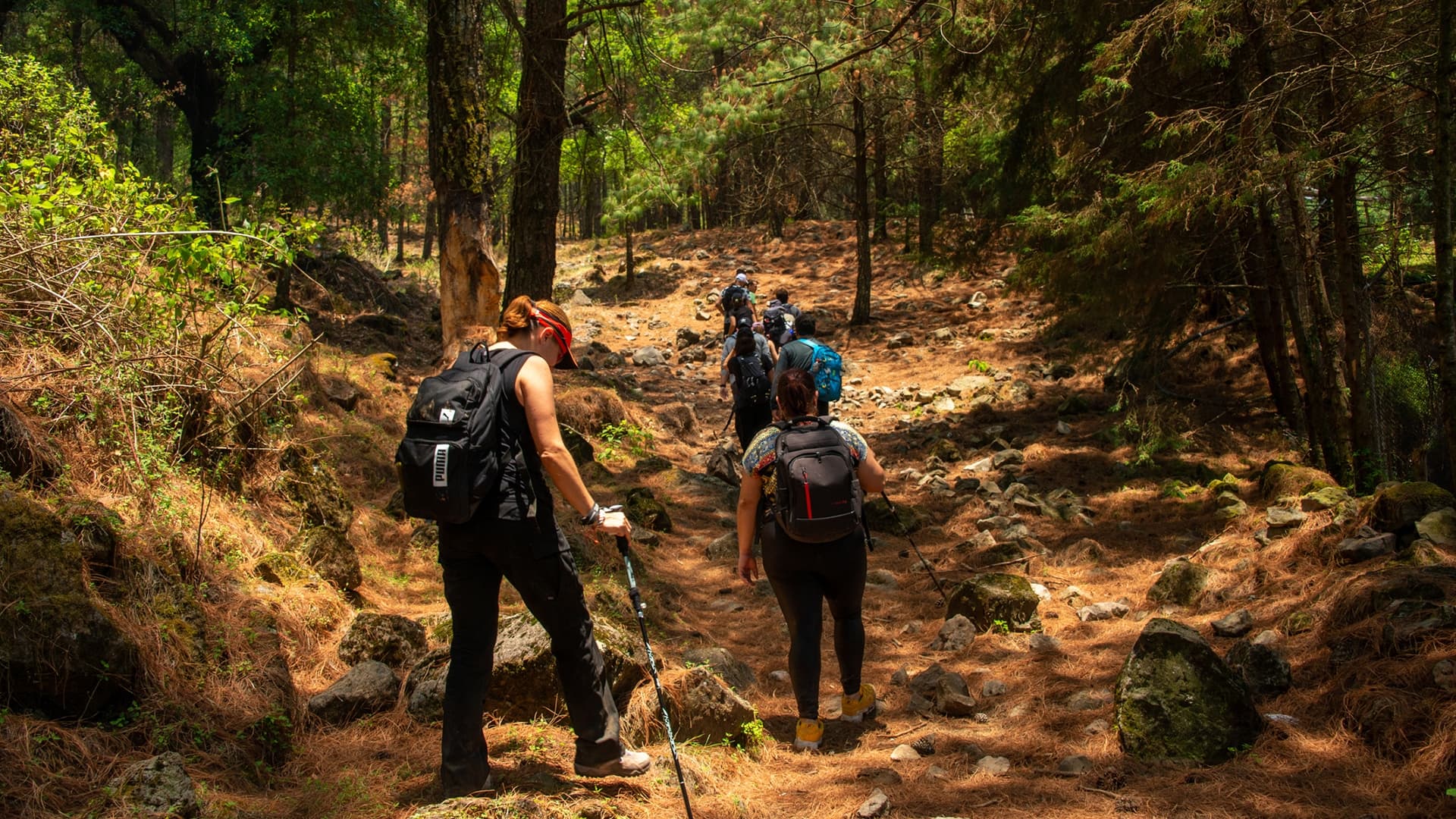 Caminata de Poder - Image 3