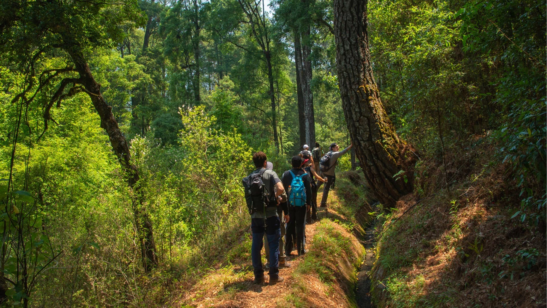 Caminata de Poder - Image 1
